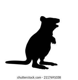 Quokka Vector Silhouette Illustration Isolated On White Background. Scrub Wallaby Silhouette Shape. 