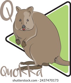 Quokkas sind attraktive und wissbegierige Wesen. Quokkas sind Pflanzenfresser, die eine Vielzahl von Gräsern und Sträuchern fressen. Quokkas fressen ihr Essen auf eine Art, die Giraffen ähnelt. Quokkas sind nachtaktiv.