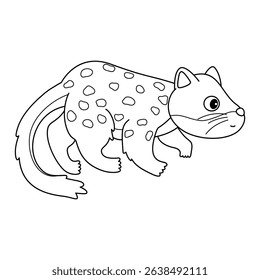 Quoll doodle outline line art on white background