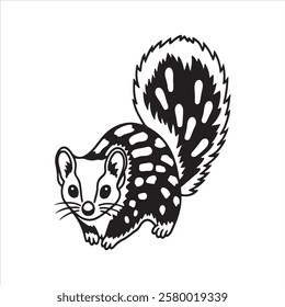 Quoll - The Spotted Marsupial Predator