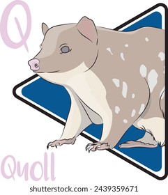 Quolls are tree-climbing, den-dwelling marsupials. Quolls eat smaller mammals, small birds, lizards, and insects. Quolls are nocturnal animals in nature. Quolls are solitary and reclusive creatures.