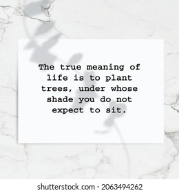 Quote: The true meaning of life is to plant trees, under whose shade you do not expect to sit. 