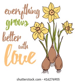 Quote Typographical Background with bulb flowers daffodils for gardener 'Everything grows better with love'. Positive poster with narcissus and root.