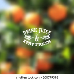 Quote typographical label on blurred background of orange grove, vector design. "Drink juice and stay fresh". 