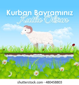 Qurban Day Greeting Message Card, Flyer, Banner Template - Turkish Text "Kurban Bayraminiz, Kutlu Olsun". "Festival of the sacrifice, be Blessed" at English