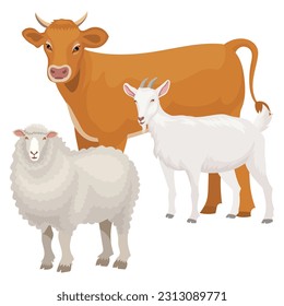 qurban eid al adha o lebaran idul adha