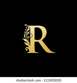 Rs Sr Letter Logo Design Creative Stock Vector (Royalty Free ...