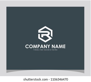 R initial hexagon icon logo design vector eps 10