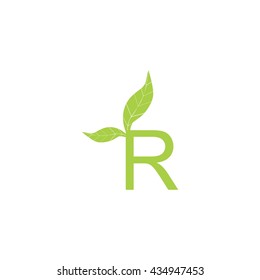 R letter leaf logo vector