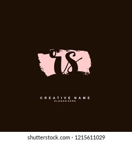 R S RS Initial logo template vector