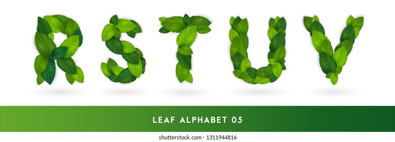 R S T U V Realistic green leaves eco alphabet set. Greenery leaf elements font concept isolated on white background. Vector illustration