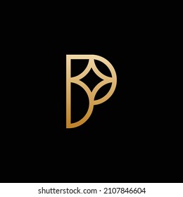 R star logo. luxury and elegance letter R star logo template