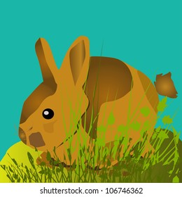 Rabbit