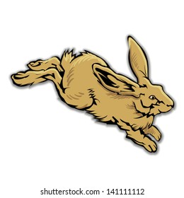 rabbit