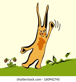 Rabbit