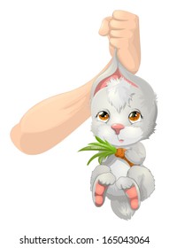 rabbit