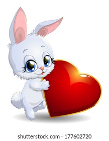 rabbit