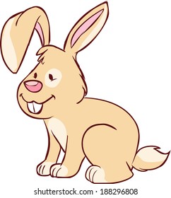 rabbit