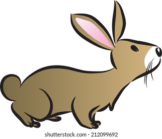 rabbit
