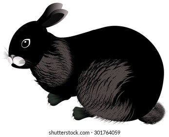 Rabbit Stock Vector (Royalty Free) 301764059 | Shutterstock