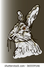 rabbit