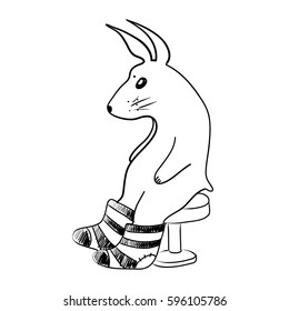 rabbit