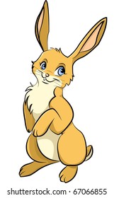 rabbit