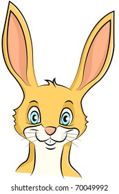 rabbit