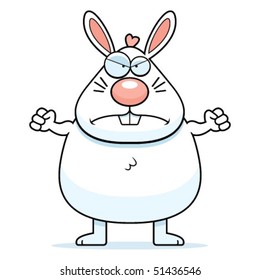 Rabbit Angry