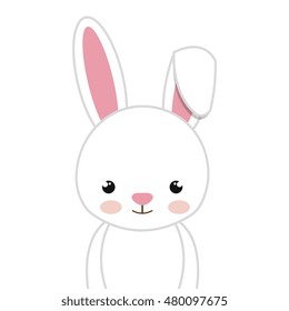 rabbit animal cartoon 