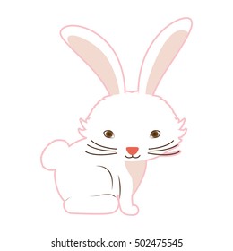 rabbit animal cartoon