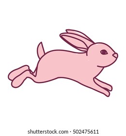 rabbit animal cartoon