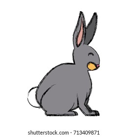 Rabbit animal cartoon