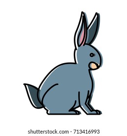 Rabbit animal cartoon