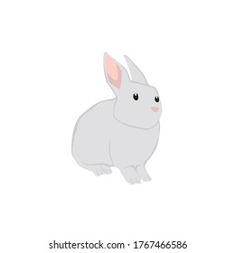 Rabbit Animal Cartoon Art Illustration