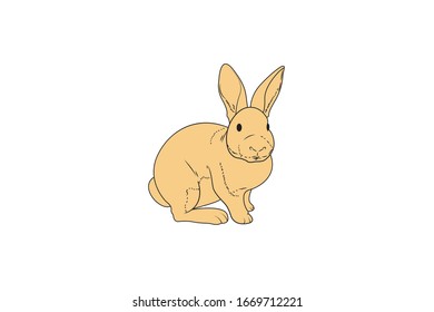 Rabbit Animal Cartoon Vector Illustration