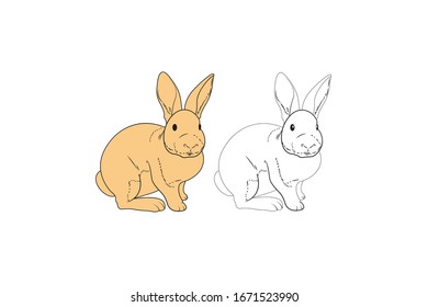 Rabbit  Animal Cartoon Vector Illustration Bundle