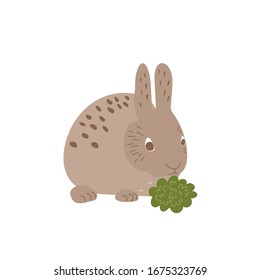 Rabbit animal. The character. Vector illustration.
