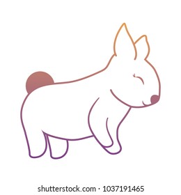 rabbit animal icon over white background, colorful design. vector illustration