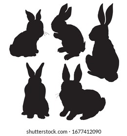 Rabbit animal silhouette, icon, vector rabbit sign symbol on white background.