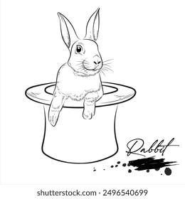 Rabbit, animal sketch realistic, vector illustration