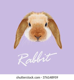 Rabbit animal. Vector illustrated portrait of red point Rabbit on violet background.