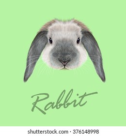 Rabbit animal. Vector Illustrated portrait of blue point Rabbit on green background.