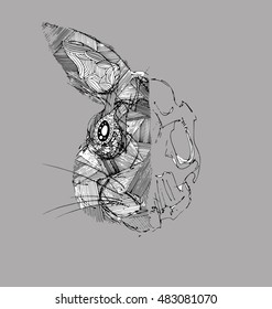 the rabbit animal with wool texture and half only skeleton hand drawn black outline isolated