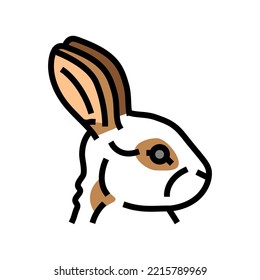 rabbit animal zoo color icon vector. rabbit animal zoo sign. isolated symbol illustration