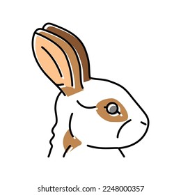 rabbit animal zoo color icon vector. rabbit animal zoo sign. isolated symbol illustration