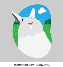 Rabbit, animals, symbol, logo, icon.