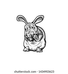 
Rabbit art Black and White