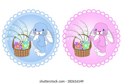 rabbit baby