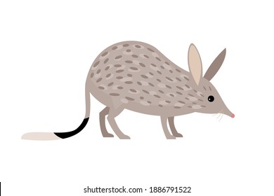 Rabbit Bandicoots. Cartoon zoo character, wild australian rodent, funny small cute nature pet, vector illustration of bilby isolated on white background